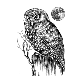 Owl and Moon - Unmounted Rubber Stamp