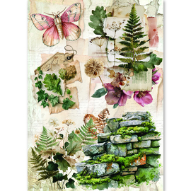 The Nature Journal