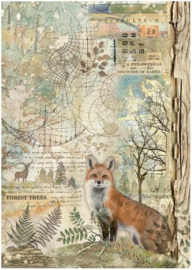 Forest Fox - Rijstpapier