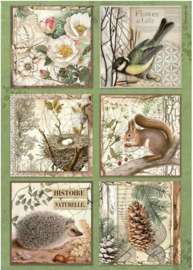 Forest Cards- Rijstpapier