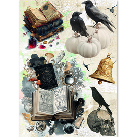 The Witch's Grimoire