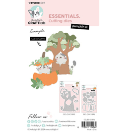 Pumpkin XL Essentials nr.896
