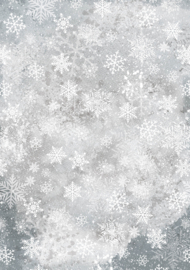 Winter Wonderland mixed