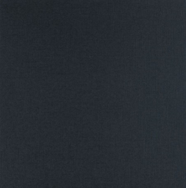 Night Blue