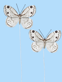 Vlinders IV - Decoratie