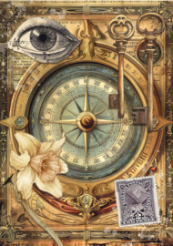 Cabinet of Curiosities