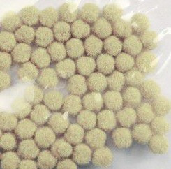 Mini Pompons Ecru