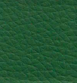 Vegan Leather - Pine Green