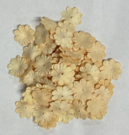 Paper Flowers Creme