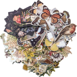 Tim Holtz Layers Botanicals