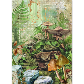 The Nature Journal