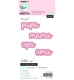 Wordz Family (NL) Essentials nr.542
