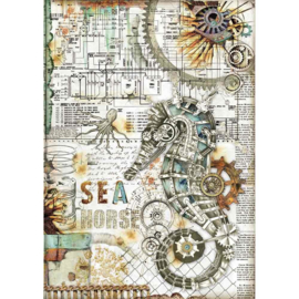 Seahorse - Rijstpapier