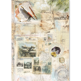Asia Diary