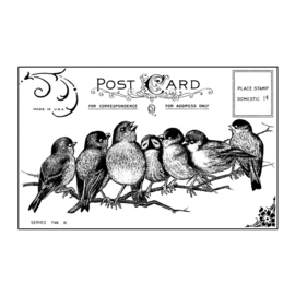 Seven Cheeky Songbirds  - Unmounted Rubber Stamps