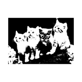 Cats - Clearstamp