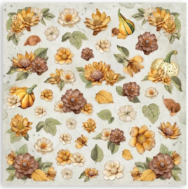 Golden Harmony Maxi (Single Face)