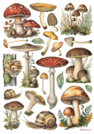 Mushrooms - Rijstpapier