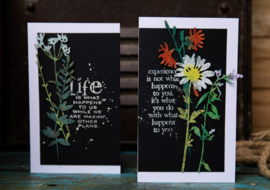 Thinlit - Vault Wildflowers