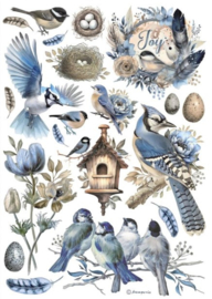 Birds - Rijstpapier