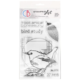 Bird Study - Clearstamp