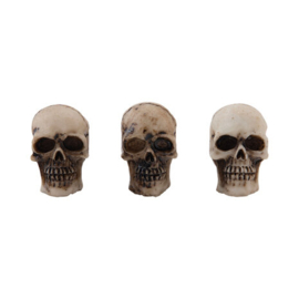 Tim Holtz Halloween Skulls & Bones