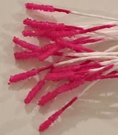 Licht Fuchsia - Meeldraden glas