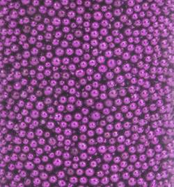 Mini Pearls Violet