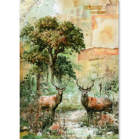The Nature Journal