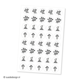 Stickers | Boy or Girl | 40 stuks