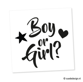 Sticker | Boy or Girl