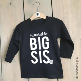 Shirt | Big Bro/ Big Sis