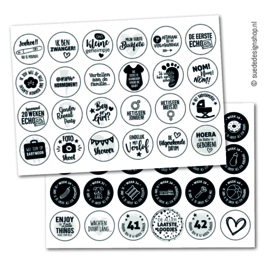 Stickers | Hoogtepunten Zwangerschap | 48 stuks