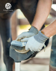 Unique-horn Titan Hoofpick – with steel brush