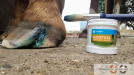 Hoofgel 300ml with brush