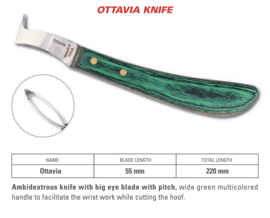 Ottavia Loop Knive