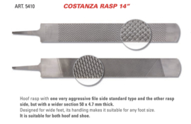 Costanza   - 50mm breed -  per  stuk