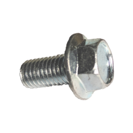 Bolt 1/4” for Dymondback Frame