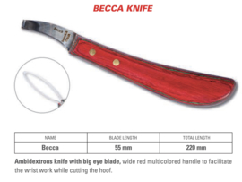 Becca  Loopknife