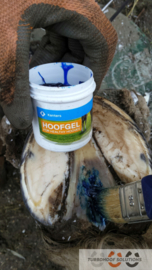 Hoofgel  - 300ml met kwast