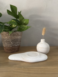 Bolvaasje op blad