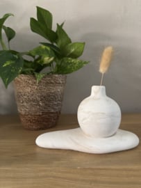 Bolvaasje op blad