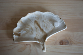 Handgemaakt Ginkoblad