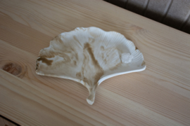Handgemaakt Ginkoblad
