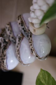 Shell Necklace Mexico