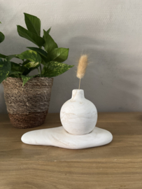 Bolvaasje op blad