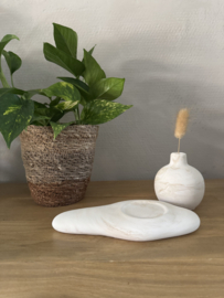 Bolvaasje op blad