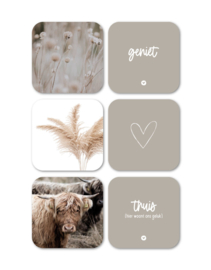 Onderzetters | set van 6 | beige