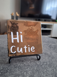 Tegeltje 10x10 | Hi Cutie - diverse kleuren