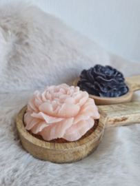 Geur rozen | Diverse kleuren